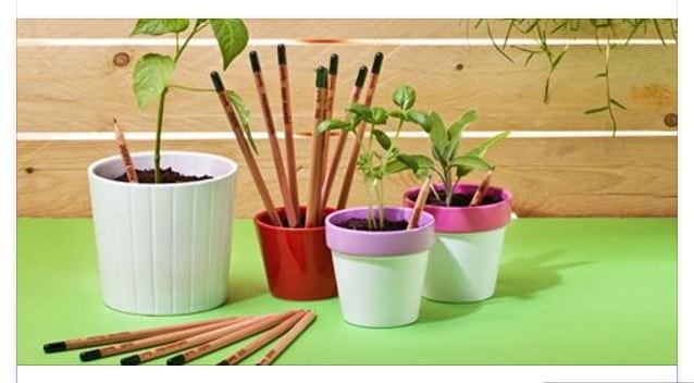 La matita Sprout una volta troppo corta per essere usata può essere riciclata in modo molto inusuale: piantandola.
