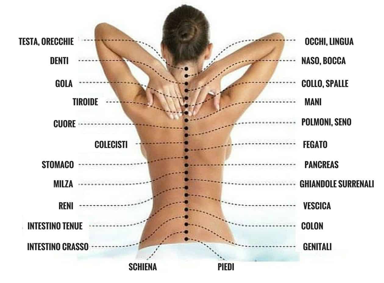 Поясница где. Области спины. Зоны массажа спины. Точки на спине для массажа. Точки для массажа на спине женские.