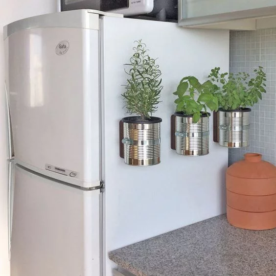 Come trasformare un vecchio frigorifero in una piantagione indoor?