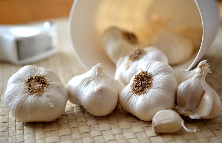 come conservare l'aglio a lungo