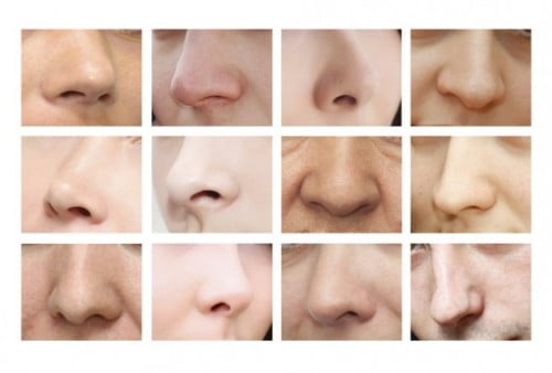 Tipi di naso