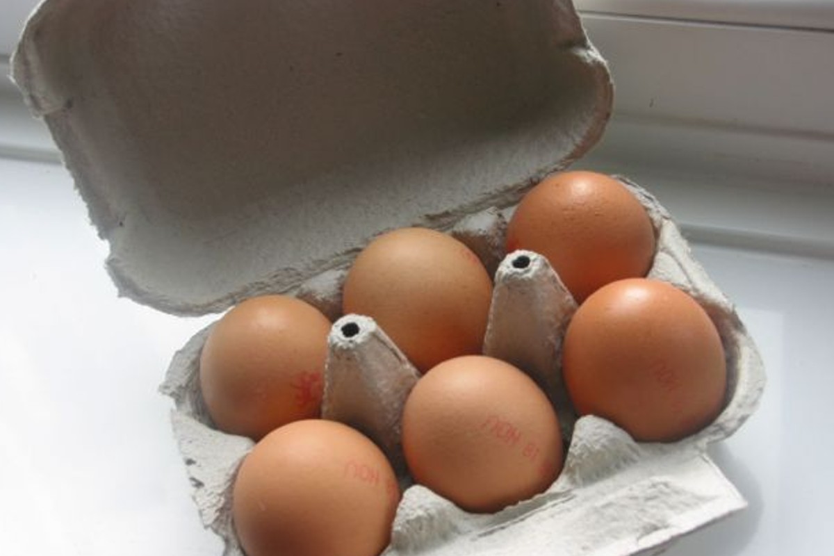 cartoni delle uova ecco cosa riciclo creativo cartone delle uova