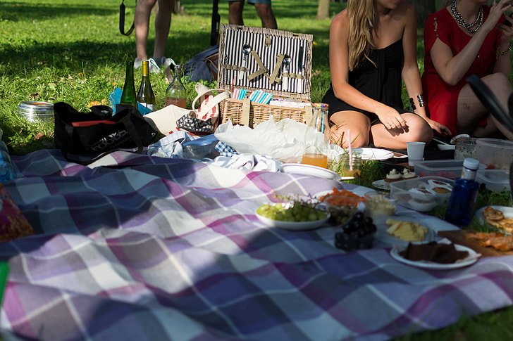 lenzuola vecchie 14 modi per outside picnic preview
