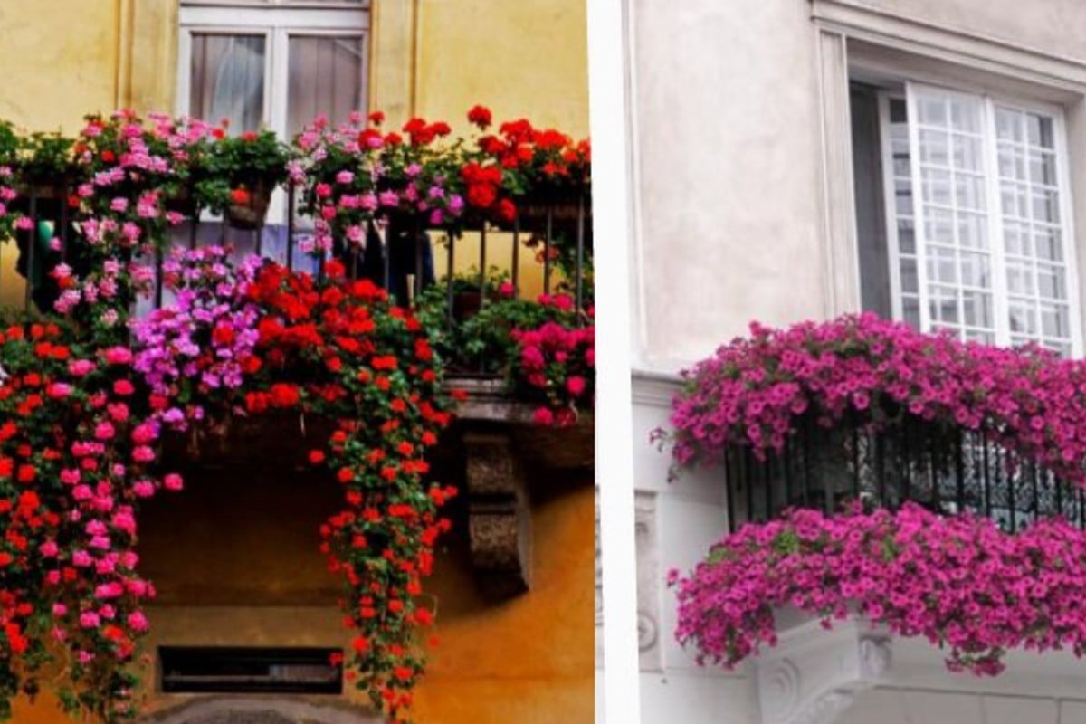 20 idee da cui prendere balcone fiorito
