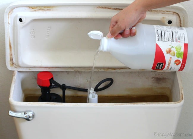 addio cattivi odori nel bagno vinegar in water tank