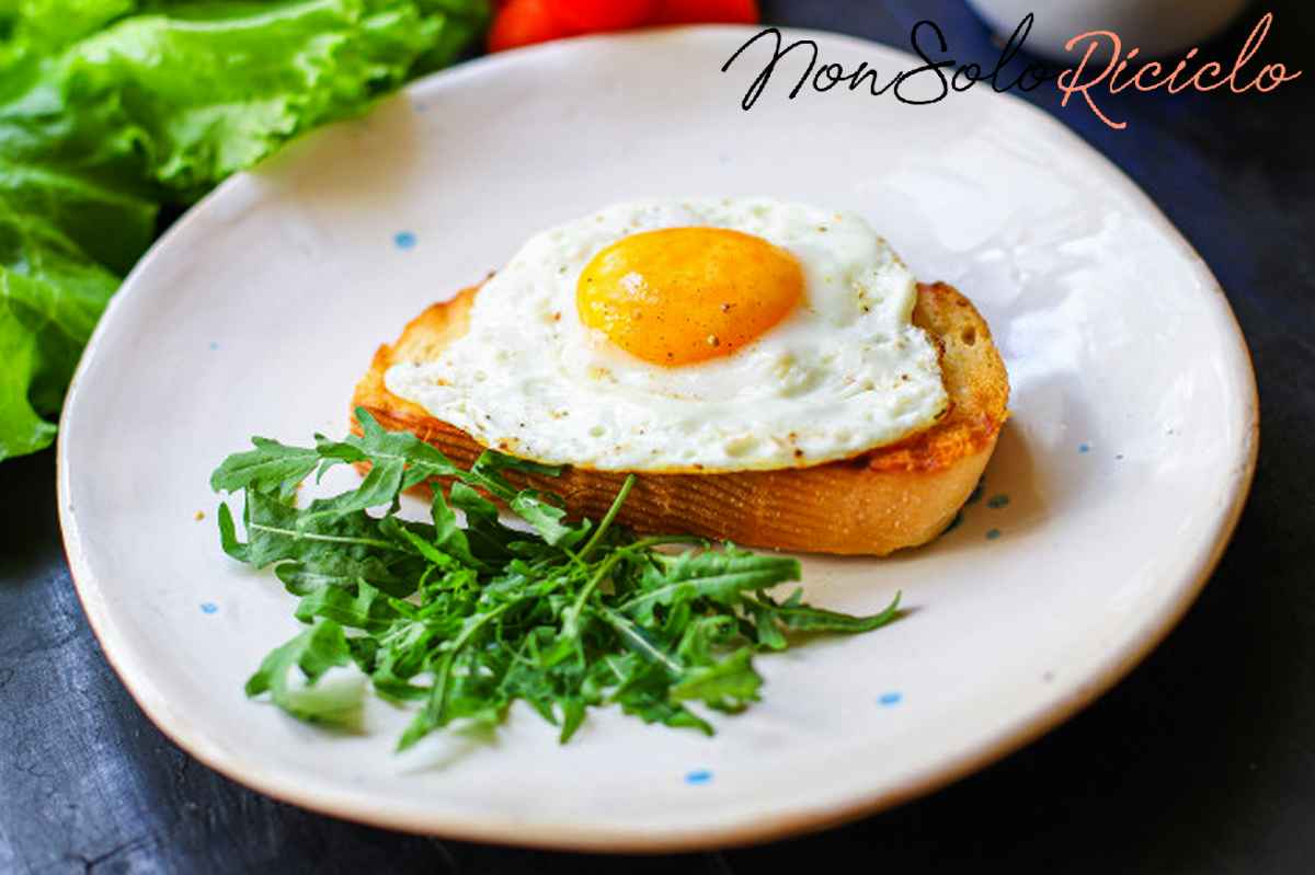 assumere proteine prima dellallenamento fa fried egg toast bread salad delicious breakfast snack yolk protein portion serving food 88242 5150