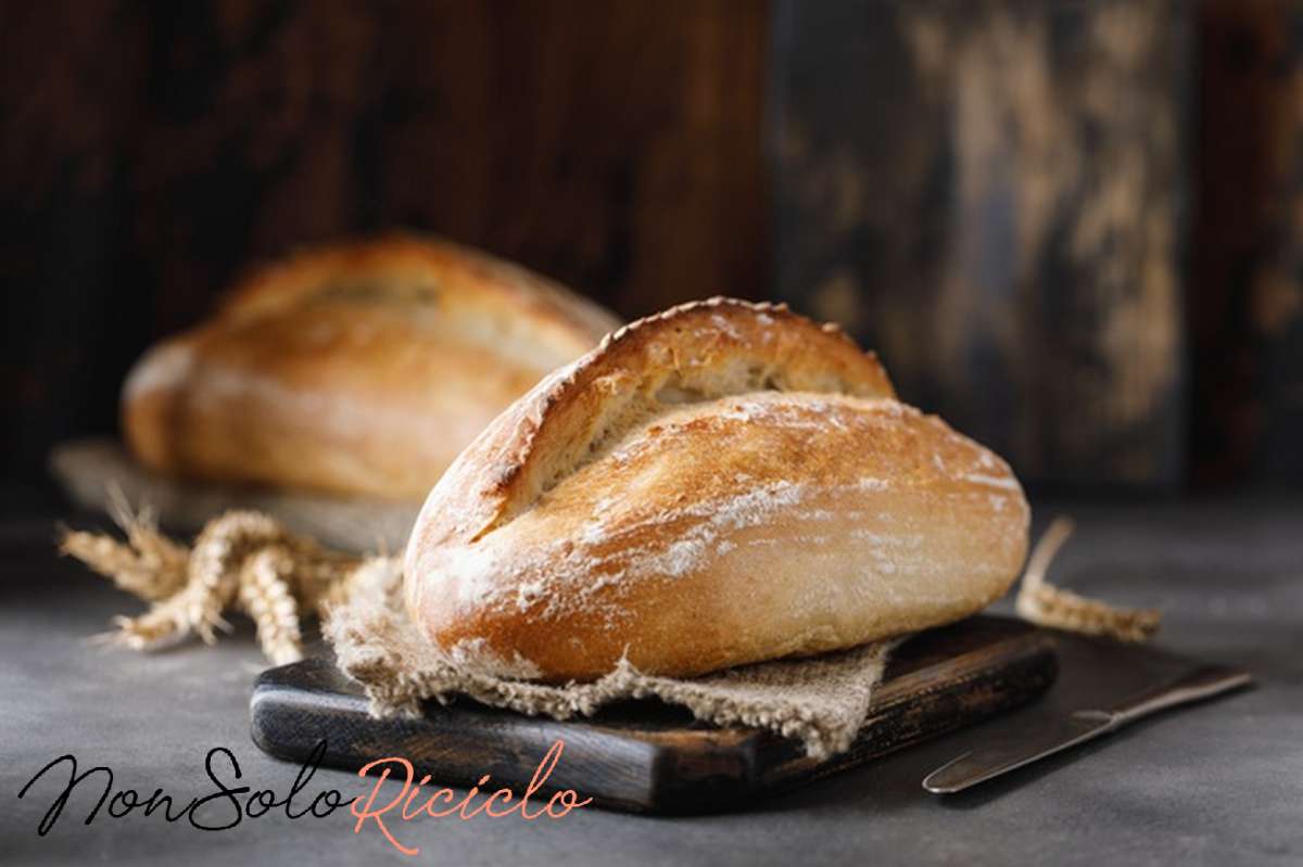 farina doppio zero e pane freshly baked bread sourdough homemade bread 157947 2366