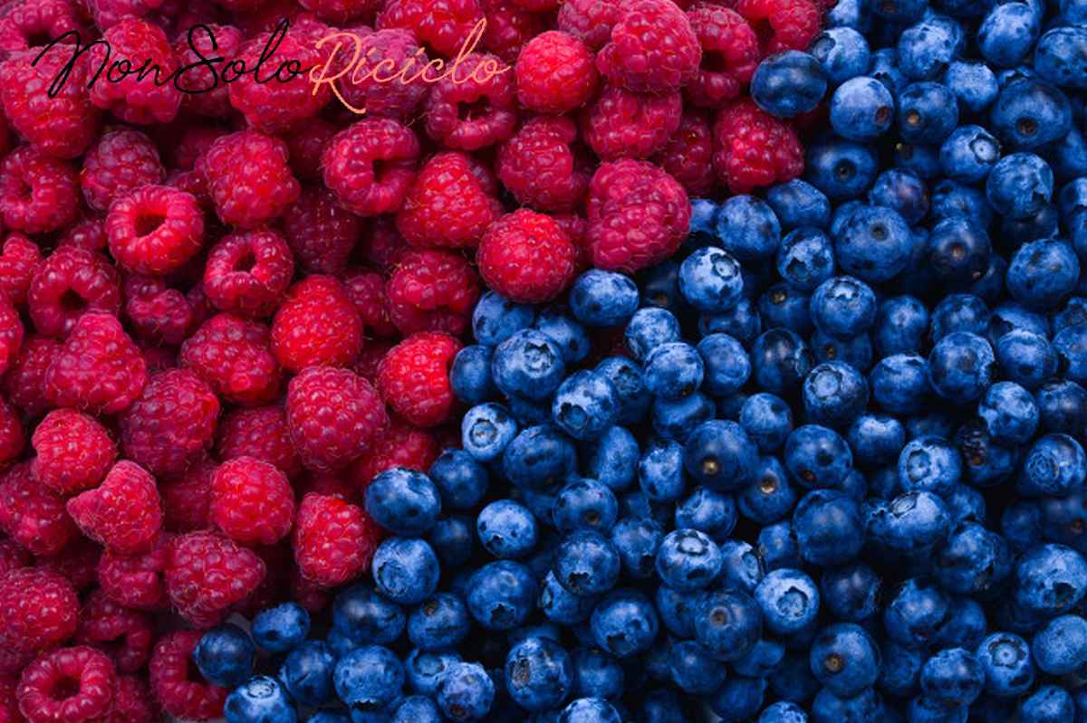 i 6 cibi migliori per blueberries raspberries top view 188078 1880
