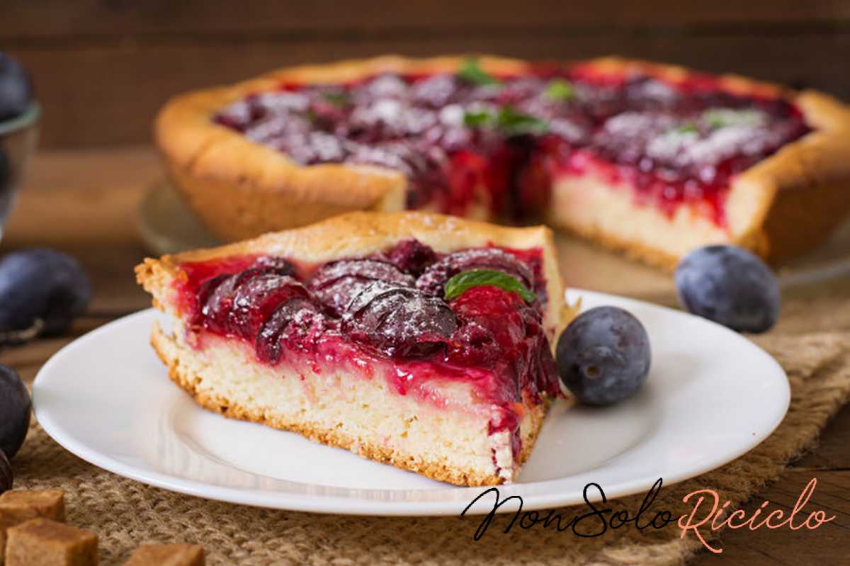 crostata morbida buonissima ma non delicious cake with fresh plums raspberries 2829 5473