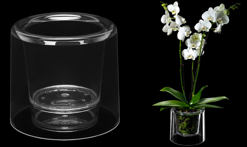 Coltivare le Orchidee in acqua: semplicissimo, saranno splendide!