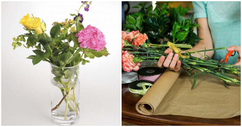 9 Trucchi per far durare i fiori recisi più a lungo: conosci il metodo della candeggina?