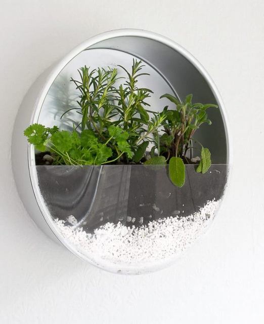 mini giardino erbe aromatiche in 16 Lovely and Creative DIY Indoor Herb Garden Ideas01