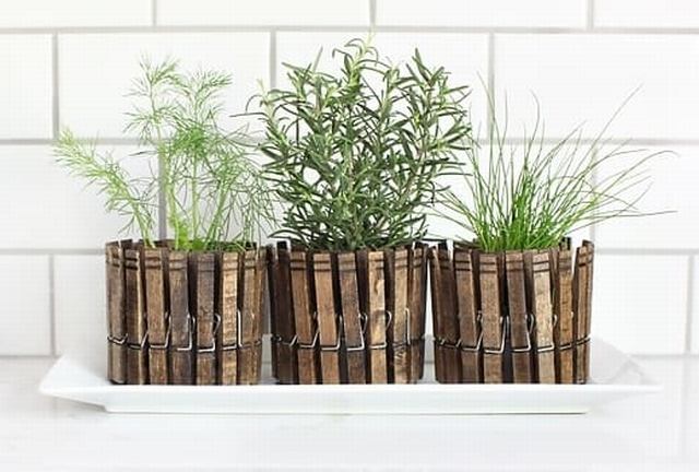 mini giardino erbe aromatiche in 16 Lovely and Creative DIY Indoor Herb Garden Ideas07
