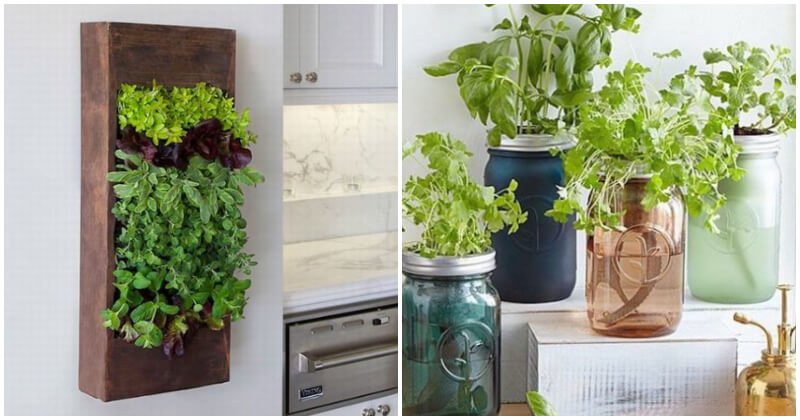 Mini giardino erbe aromatiche in casa: 10 idee adorabili e creative