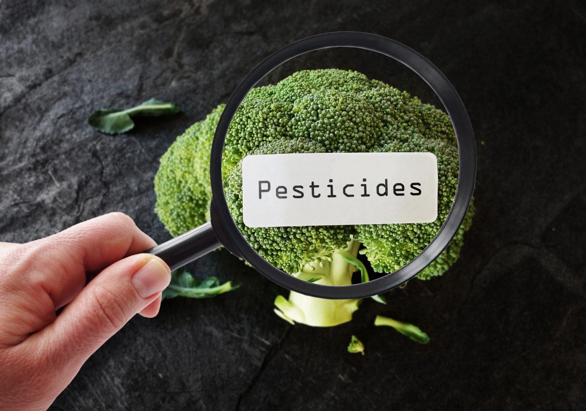 pesticidi nelle verdure a volte AdobeStock 161203839