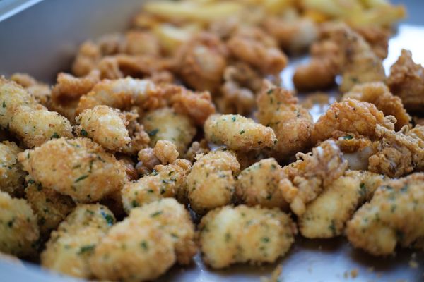 Croccanti bocconcini di pollo al parmigiano: fritti o al forno sono una delizia!