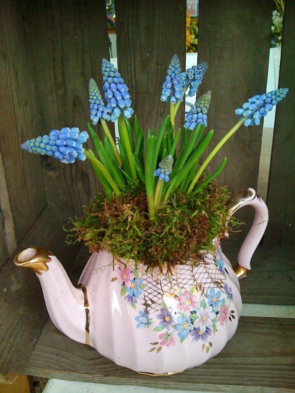 la primavera e alle porte c5b0c8b202178241dbf4a1204d4f9419 vintage teapots container garden