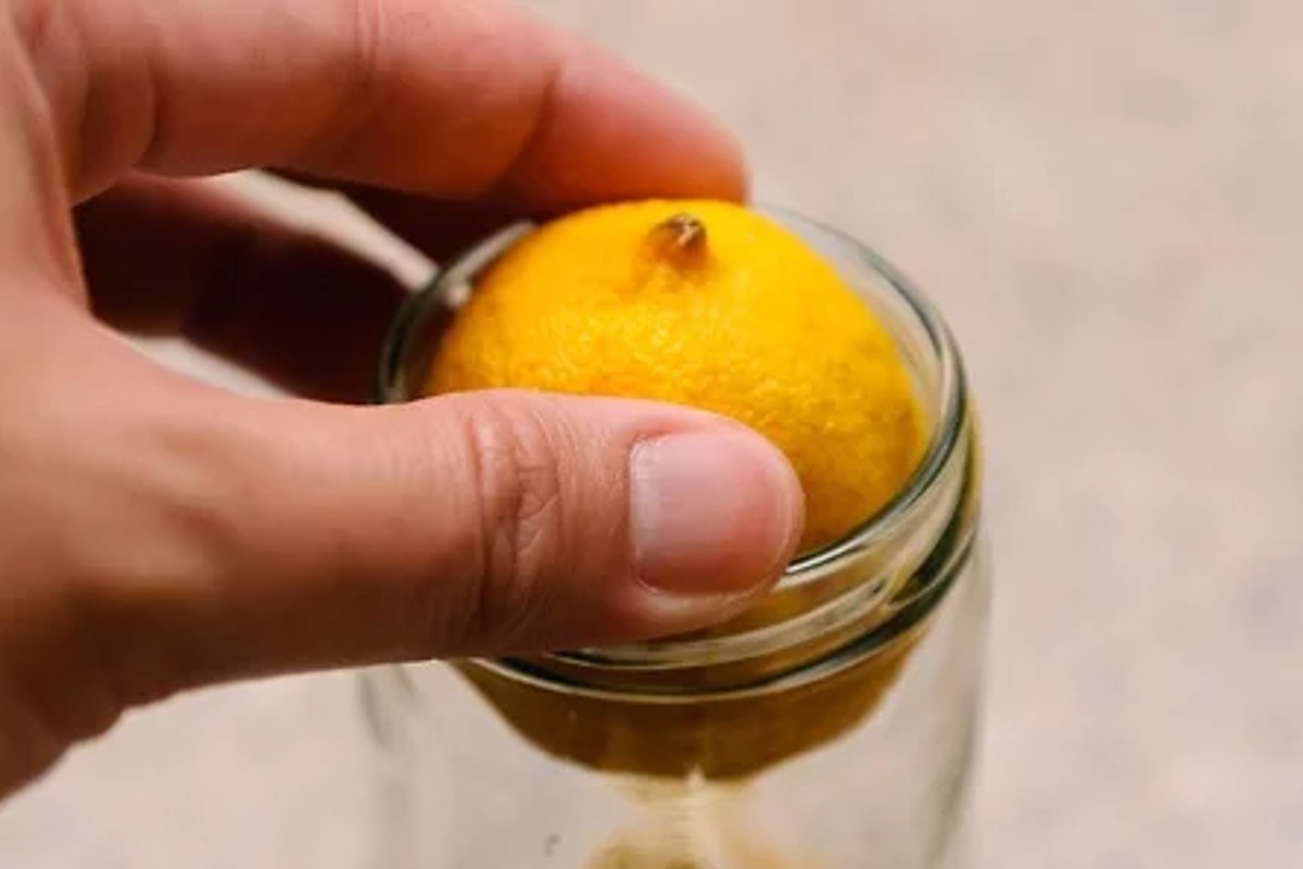 Come conservare i Limoni senza farli ammuffire, e con tutto il loro aroma