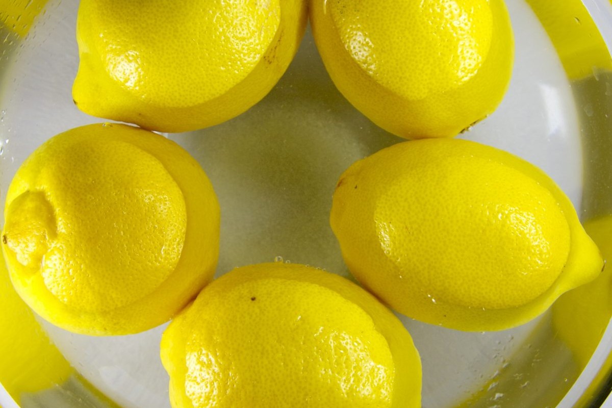 scopri il metodo per conservare conservare i limoni