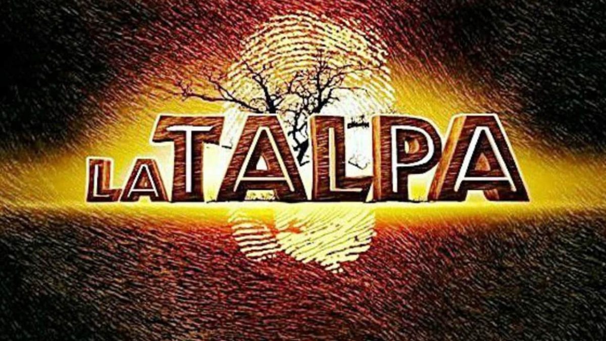 palinsesti mediaset 2022 2023 spoiler maria La Talpa in Italia Netlix Rai Perego