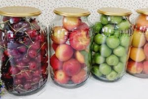 conservare la frutta fresca per frutta fresca per 12 mesi 1