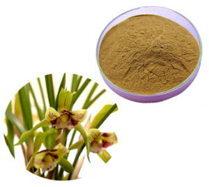 insalate rum e snack fatti Factory Supply Natural Salep Orchid Plants Extract Salep Powder for Ice Cream