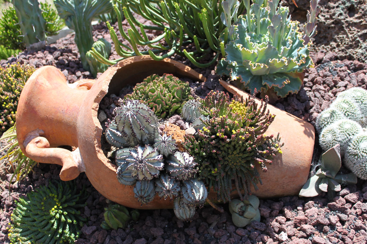 crea il tuo mini giardino vasi in terracotta giardino 8