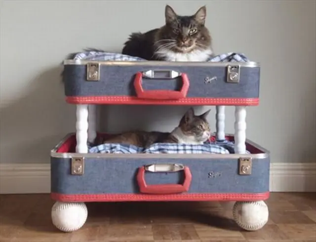 20 idee di riciclaggio per pet beds briefcase