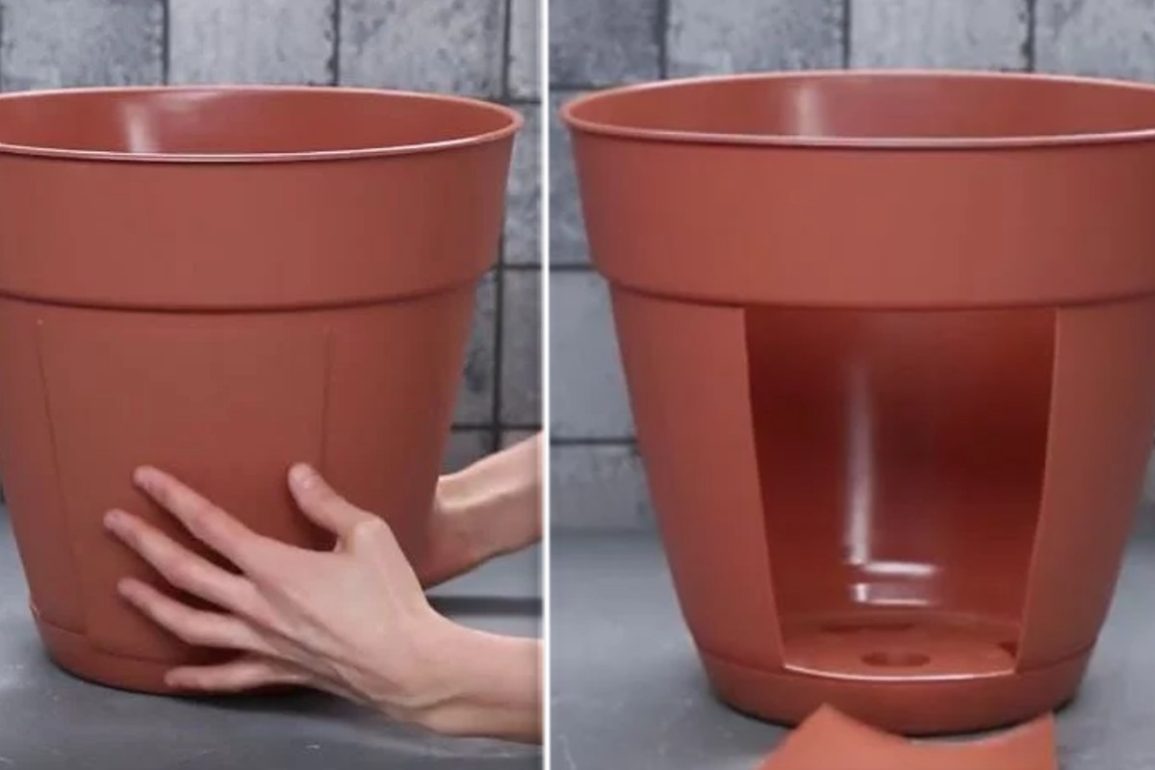 piantare le patate utilizza 2 vaso di plastica