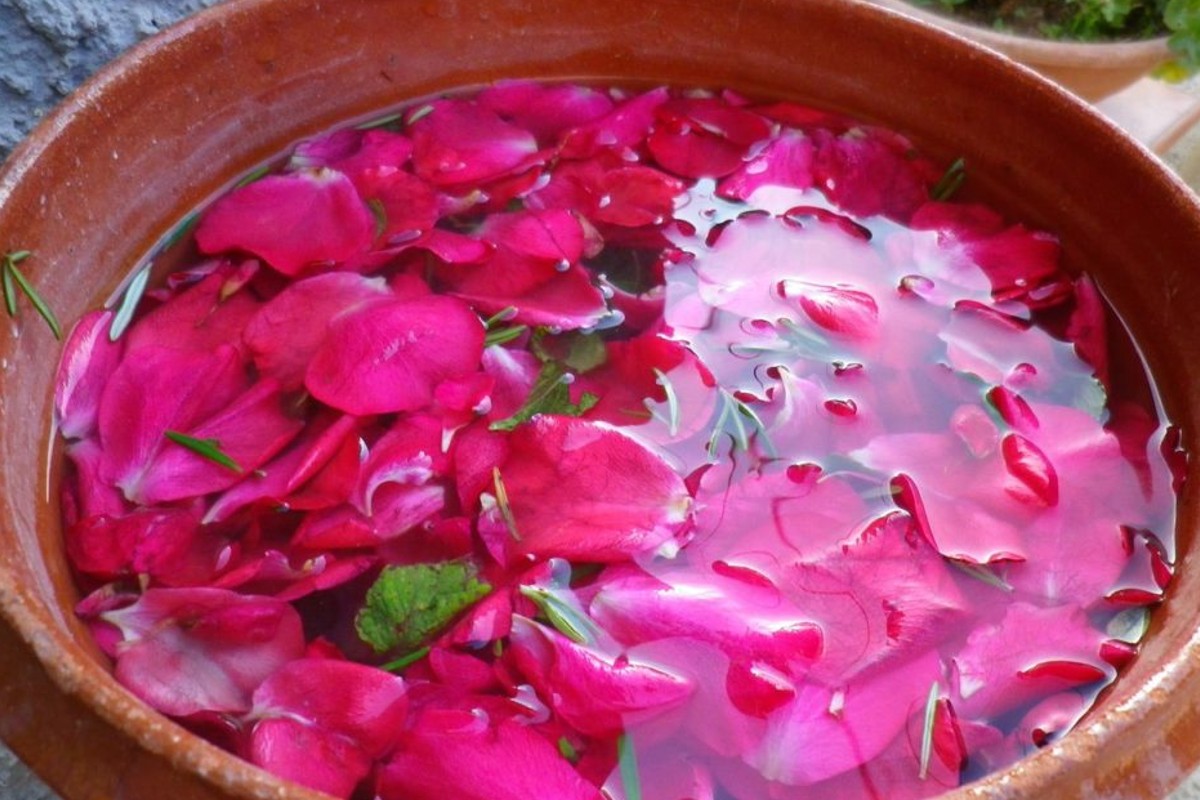 vuoi fare lacqua di rose acqua di rose la ricetta acqua di rose 1